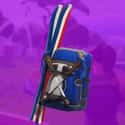 Alpine Accessories (FRA) is listed (or ranked) 32 on the list The Best Backpacks In 'Fortnite: Battle Royale,' Ranked
