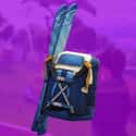 Alpine Accessories is listed (or ranked) 30 on the list The Best Backpacks In 'Fortnite: Battle Royale,' Ranked