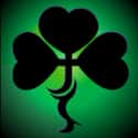The Black Shamrocks on Random Best Celtic Rock Bands/Artists