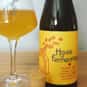 Seurat Dot Ale is listed (or ranked) 36 on the list The Best Vermont Beers, Ranked