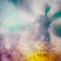 The Wasp In The Quantum Realm - Ant-Man on Random Easter Eggs From Every Marvel Movi