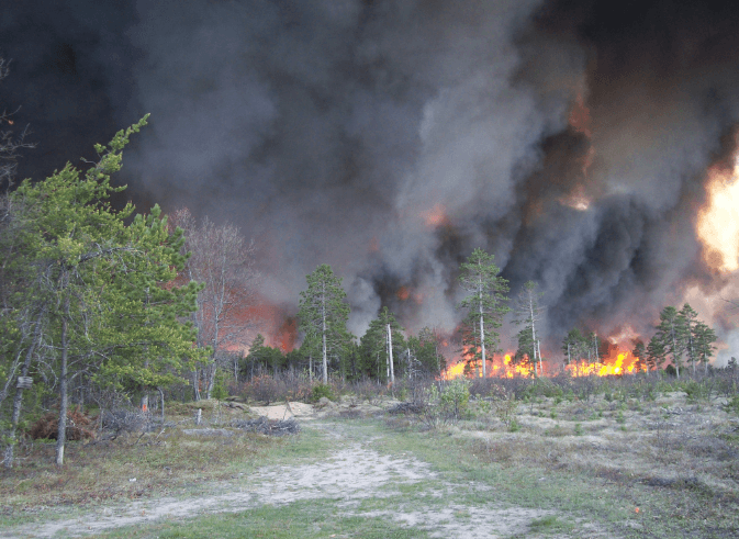 The Worst Wildfires in History