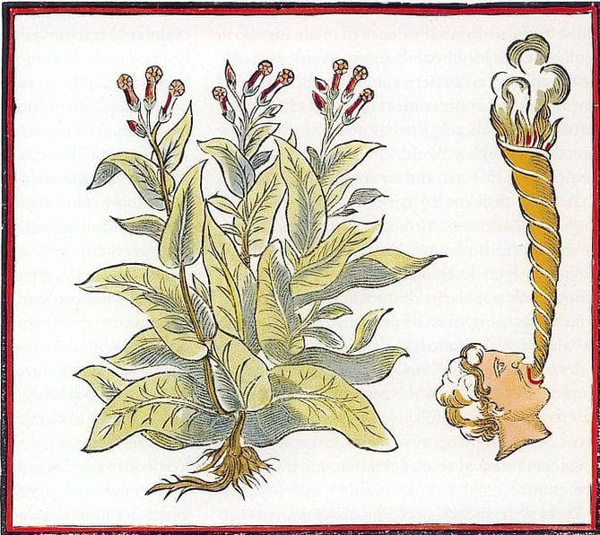 where did tobacco come from in the columbian exchange When The Vatican Couldn't Stop People Leaving Mass To Snort Snuff, They  Started A Tobacco Factory
