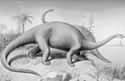 The Brontosaurus Was Real After All on Random Craziest Dinosaur Facts That Have Been Discovered Since You Were In School