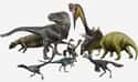 The Entire Dinosaur Evolutionary Tree Was Way Off on Random Craziest Dinosaur Facts That Have Been Discovered Since You Were In School