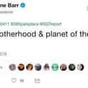 Roseanne Barr's Derogatory Tweet Aimed At A Former Obama Adviser on Random Celebrity Social Media Posts That Totally Backfired