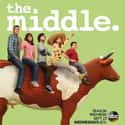 The Middle - Season 7 on Random Best Seasons of 'The Middle'