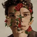Shawn Mendes is listed (or ranked) 19 on the list The Best Albums of 2018