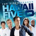 Hawaii Five-0 - Season 5 on Random Best Seasons of Hawaii Five-0
