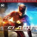 The Flash - Season 2 on Random Best Seasons of 'The Flash'