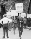 In 1965, Frank Kameny Led The First Gay Rights Protest Outside The White House on Random Things about America's Lavender Scare Targeted Gay Government Officials