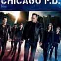 Chicago P.D. - Season 1 on Random Best Seasons of 'Chicago P.D.'