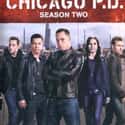 Chicago P.D. - Season 2 on Random Best Seasons of 'Chicago P.D.'