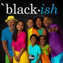 Blackish - Season 1 on Random Best Seasons of 'Black-ish'