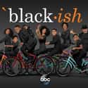 Blackish - Season 4 on Random Best Seasons of 'Black-ish'