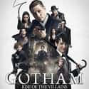 Gotham - Season 2 on Random Best Seasons of 'Gotham'