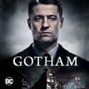 Gotham - Season 4 on Random Best Seasons of 'Gotham'