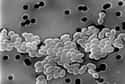 Vancomycin-Resistant Enterococcus on Random Most Dangerous Drug-Resistant Diseases