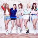 D.Holic is listed (or ranked) 40 on the list List Of All Disbanded K-pop Groups, Ranked