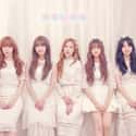 I.B.I is listed (or ranked) 33 on the list List Of All Disbanded K-pop Groups, Ranked
