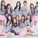 I.O.I is listed (or ranked) 5 on the list List Of All Disbanded K-pop Groups, Ranked