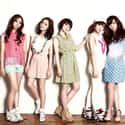Sunny Days is listed (or ranked) 42 on the list List Of All Disbanded K-pop Groups, Ranked