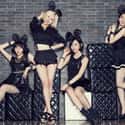 Bob Girls is listed (or ranked) 37 on the list List Of All Disbanded K-pop Groups, Ranked
