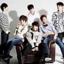 C-Clown is listed (or ranked) 8 on the list List Of All Disbanded K-pop Boy Groups, Ranked