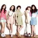 Sunny Days is listed (or ranked) 28 on the list List Of All Disbanded K-pop Girl Groups, Ranked