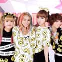 Tiny-G is listed (or ranked) 27 on the list List Of All Disbanded K-pop Girl Groups, Ranked