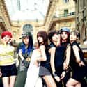Gangkiz is listed (or ranked) 34 on the list List Of All Disbanded K-pop Girl Groups, Ranked