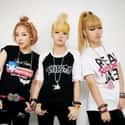 D-Unit is listed (or ranked) 30 on the list List Of All Disbanded K-pop Girl Groups, Ranked
