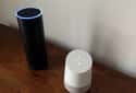 Google Home And Alexa Had A Conversation on Random Creepiest Things That People's Smart Home Systems and Alexas Have Ever Don