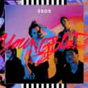Youngblood is listed (or ranked) 22 on the list The Best Albums of 2018