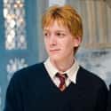 The Weasley Twins Are British Royalty on Random Historical References In Harry Potter