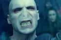 Voldemort Was Doomed From The Start Thanks To Oedipus on Random Historical References In Harry Potter