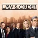 Law & Order - Season 14 on Random Best Seasons of 'Law & Order'