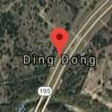 Ding Dong, TX on Random American Small Towns With Weirdest Names