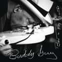 Born to Play Guitar on Random Best Buddy Guy Albums
