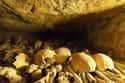 Bodies Were Moved To The Catacombs Under The Cover Of Night on Random Details about Paris Catacomb Which Hide A Secret Cinema Club And Pools