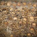Exploring The Catacombs Can Be Life-Threatening on Random Details about Paris Catacomb Which Hide A Secret Cinema Club And Pools