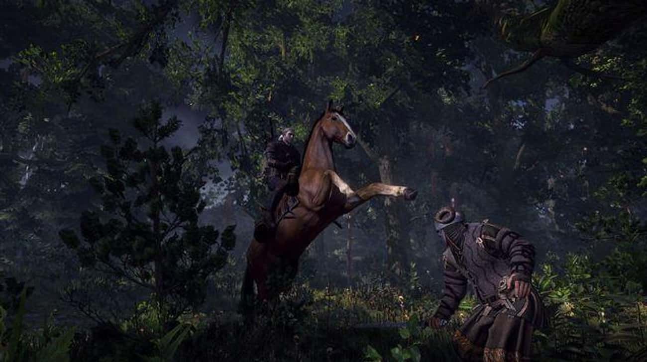 Roach (The Witcher)