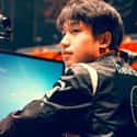 ClearLove is listed (or ranked) 15 on the list The Best Professional LoL Players In The World, Ranked
