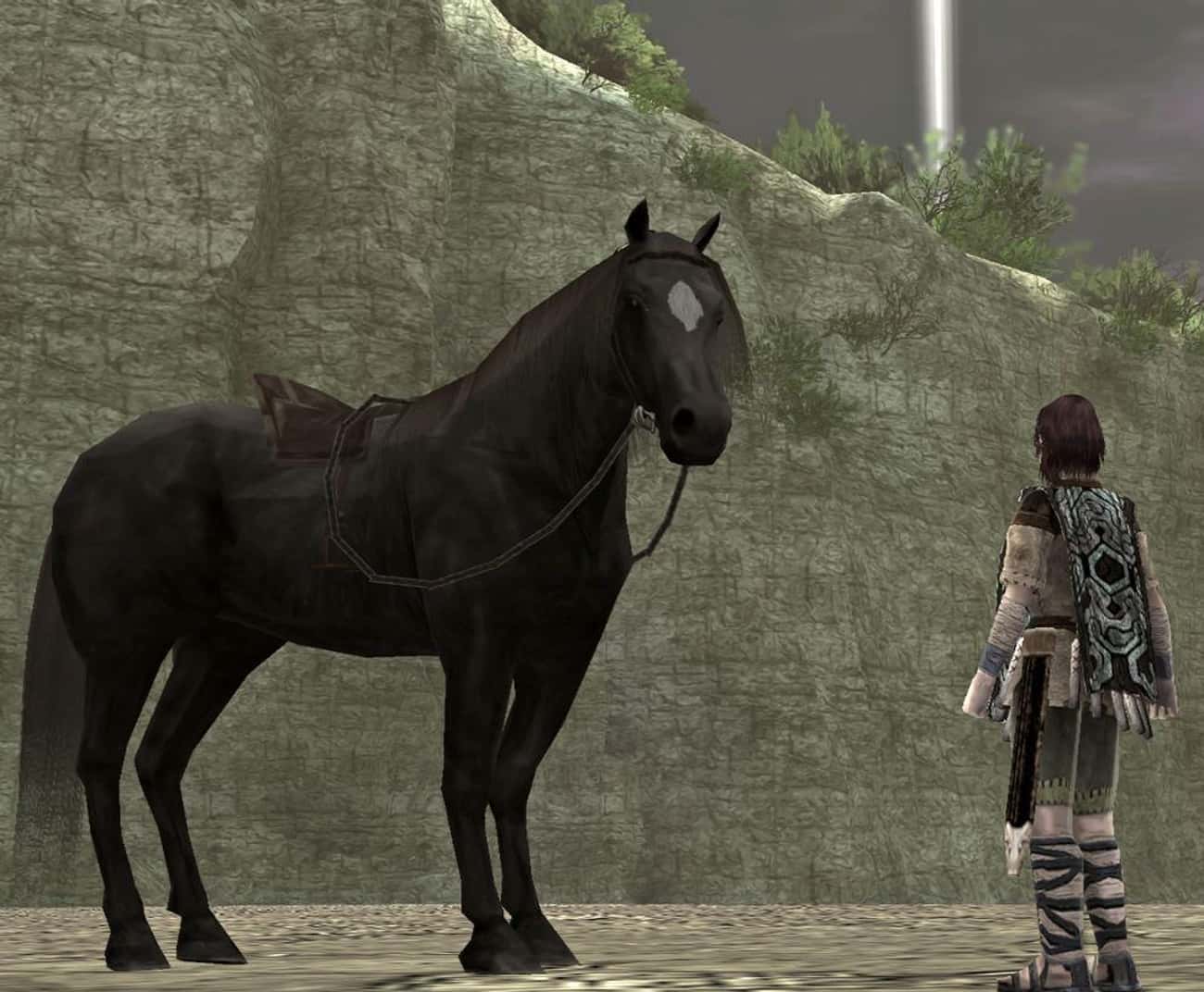 Agro (Shadow of the Colossus)