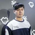 Maple is listed (or ranked) 24 on the list The Best Professional LoL Players In The World, Ranked