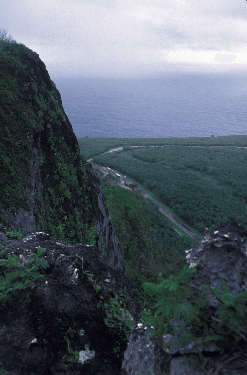 The 20 Largest Mass Suicides In World History