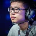 Shadow is listed (or ranked) 39 on the list The Best Professional Dota 2 Players, Ranked
