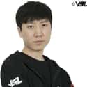 INnoVation is listed (or ranked) 6 on the list The Best Professional StarCraft II Players, Ranked