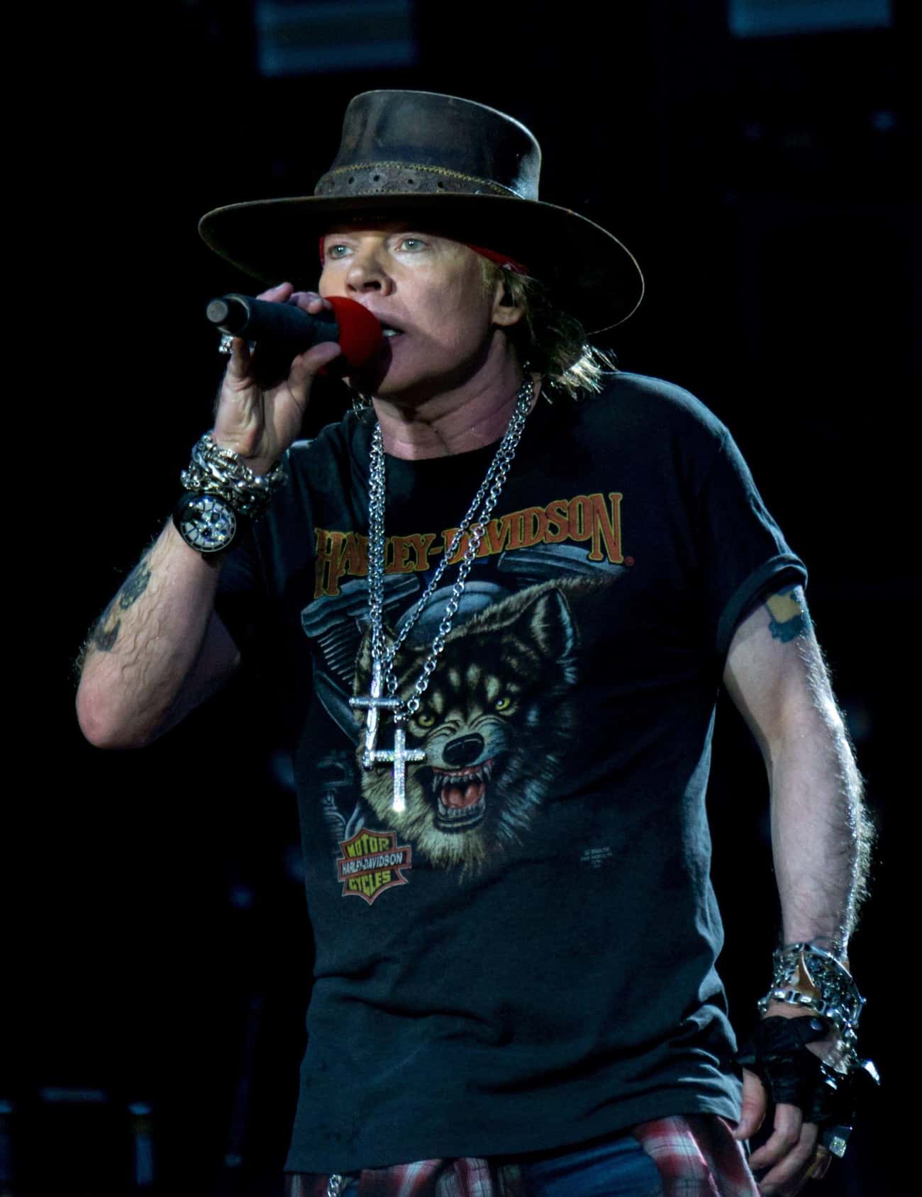 A Guns N&#39; Roses Song Incorporates The Sounds Of An Illicit Tryst