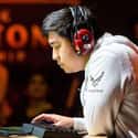 StrifeCro is listed (or ranked) 49 on the list The Best Professional Hearthstone Players, Ranked